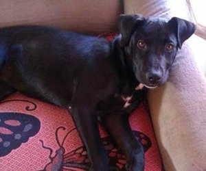 Sad tail has happy ending 